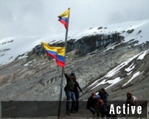 Activity